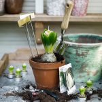 Spring_2015 Siripiri